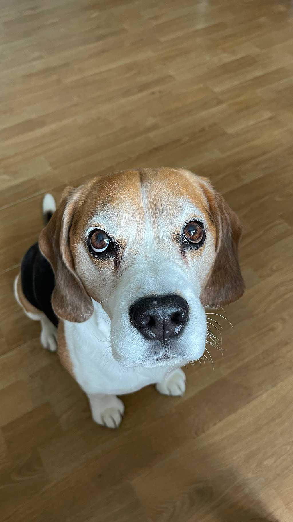 Oscar